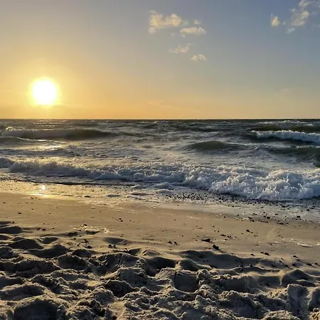 Eiche Strandnah Prerow