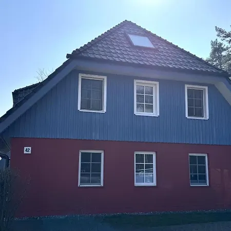 Eiche Strandnah * Prerow