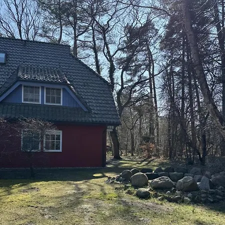 Eiche Strandnah * Prerow